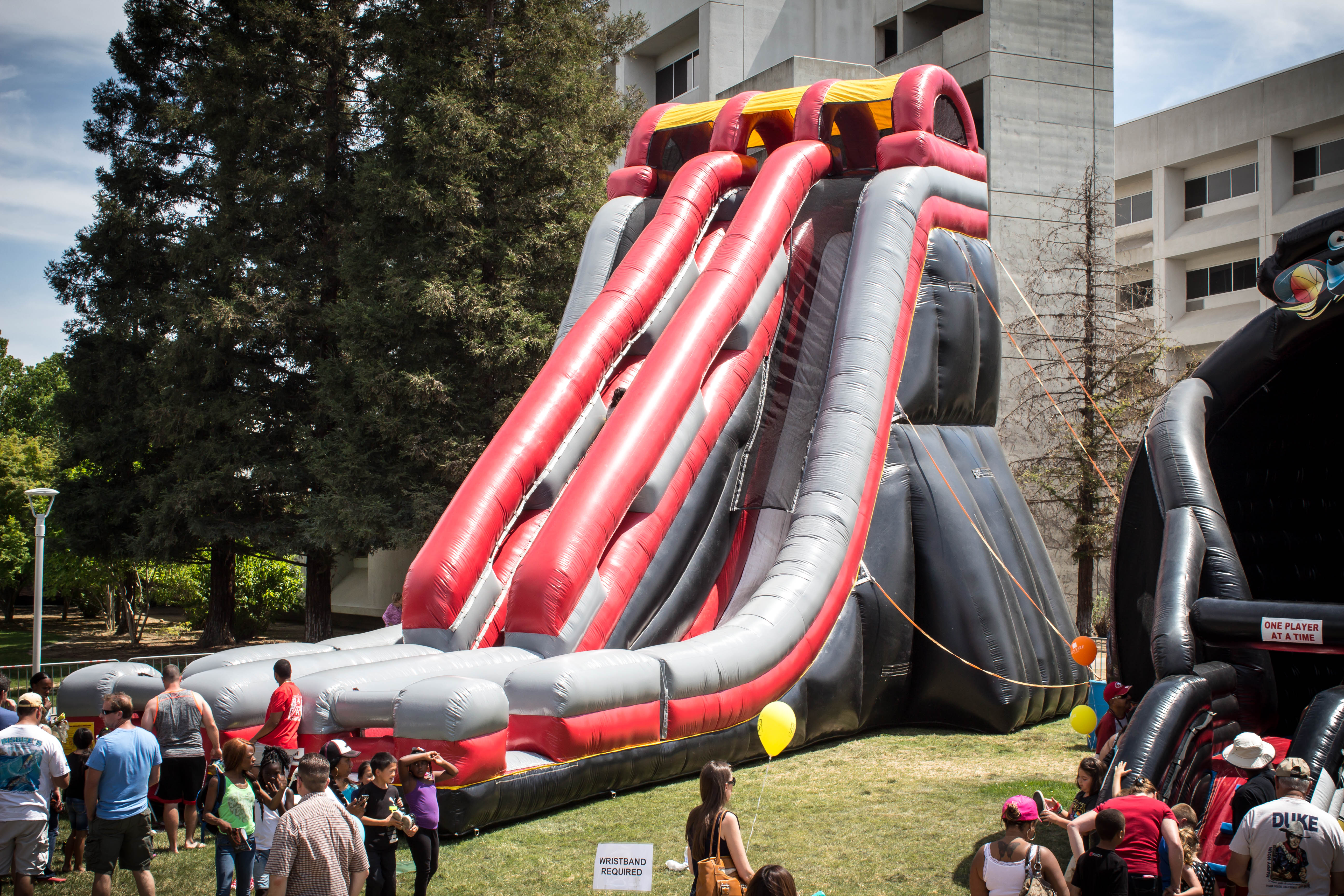 Inflatable Slide-Slidezilla